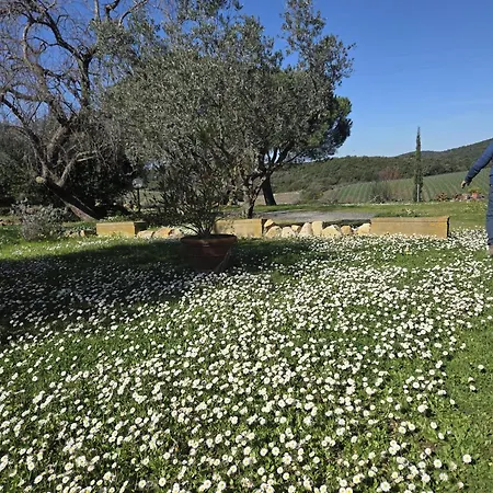Podere Ortacavoli *